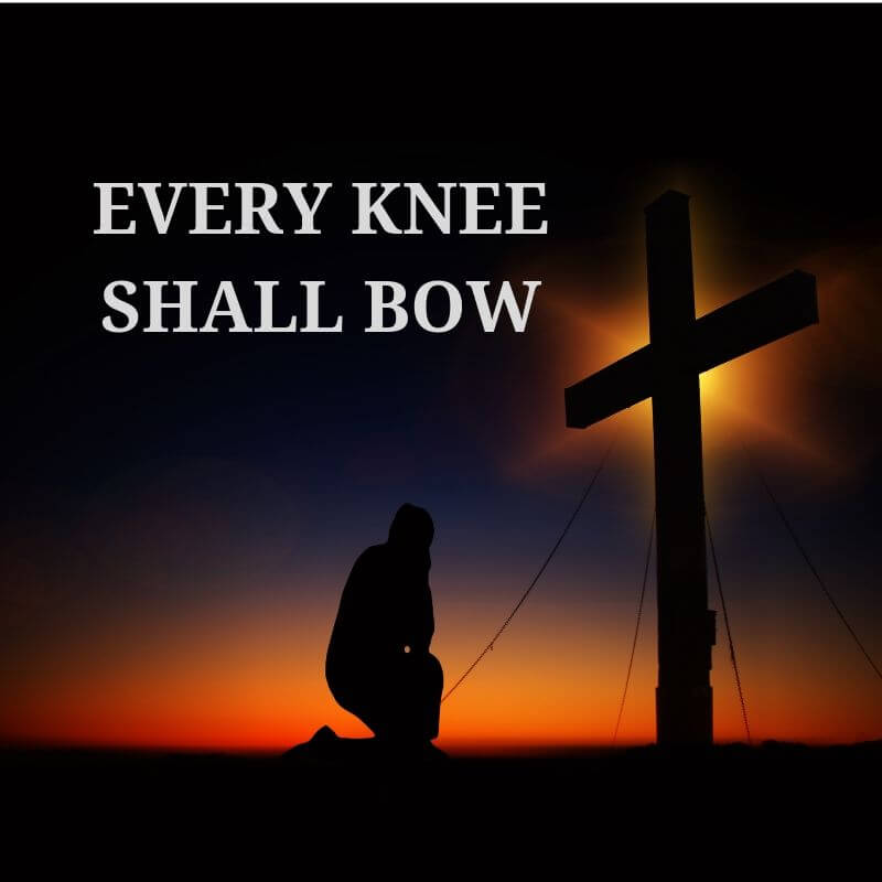 Every Knee shall Bow. Every Knee shall Bow and every tongue confess Jesus.