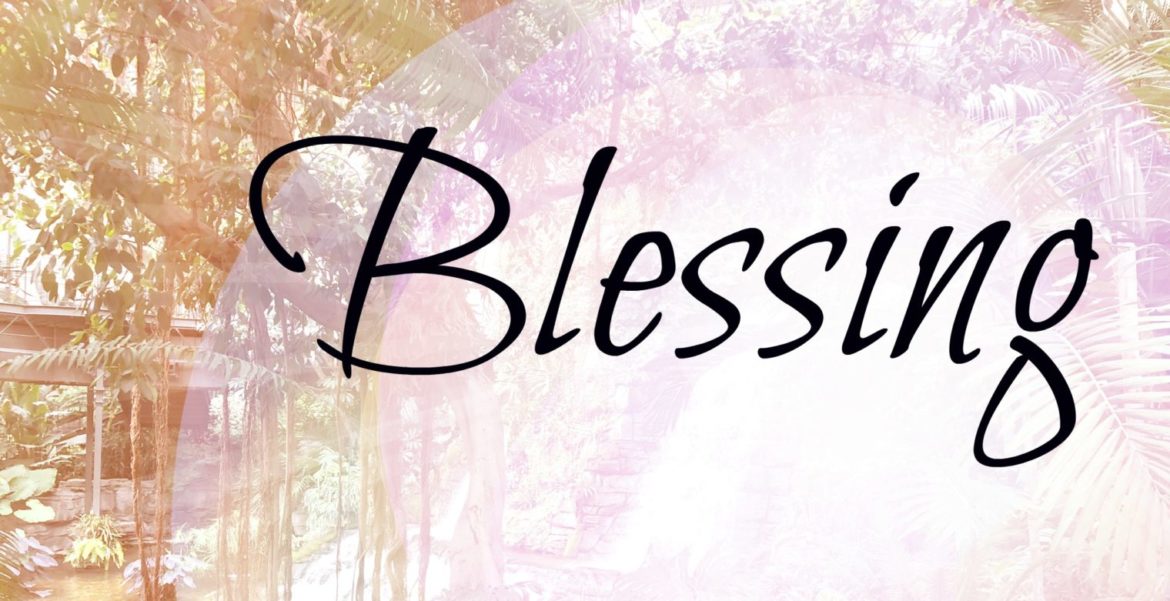 Blessing in Discipline - Pastor Terry Lema's Daily Devotions